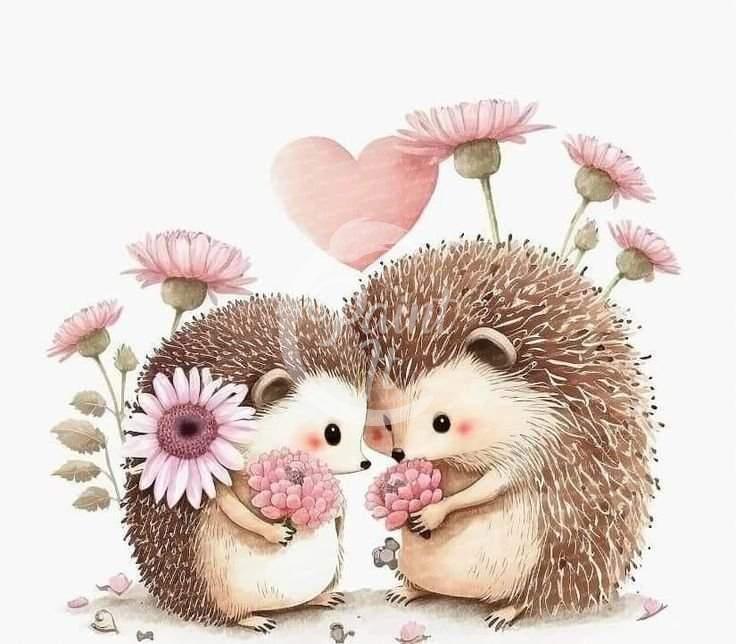 Hedgehog family